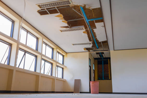 Best Flood damage cleanup  in Merritt Island, FL