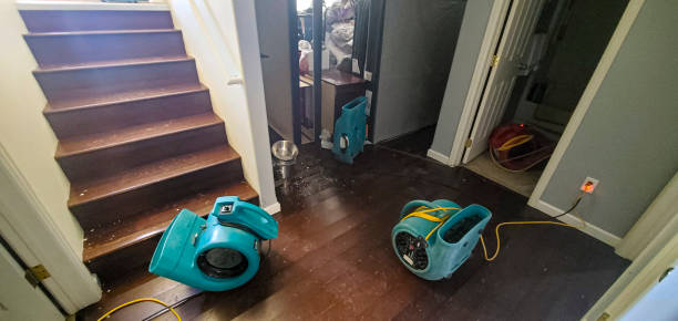 Best Water damage restoration cost  in Merritt Island, FL