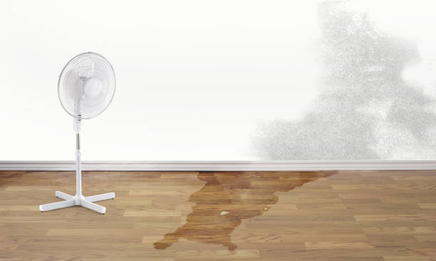 Best Water damage restoration near me  in Merritt Island, FL