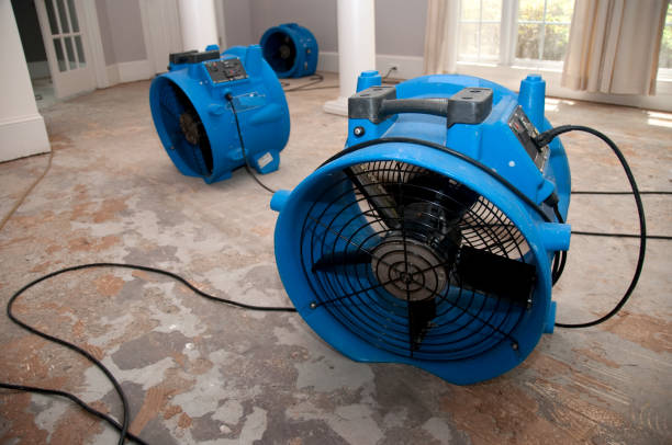 Best Flood restoration services  in Merritt Island, FL