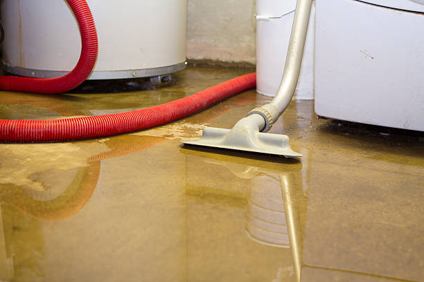 Best Sewage cleanup and water damage restoration  in Merritt Island, FL