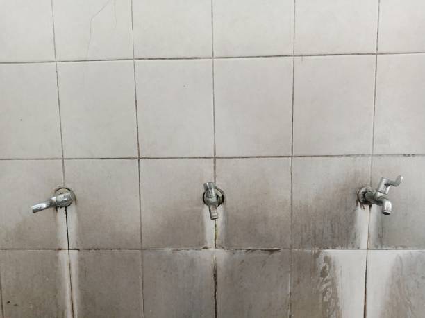 Best Water damage restoration company  in Merritt Island, FL