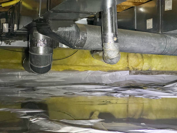 Best Carpet water damage restoration  in Merritt Island, FL