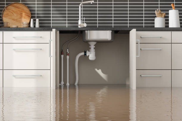 Best Ceiling water damage repair  in Merritt Island, FL