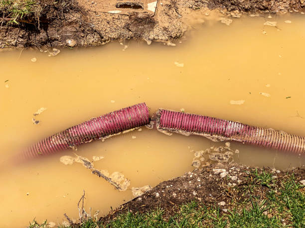 Best 24-hour water damage restoration  in Merritt Island, FL