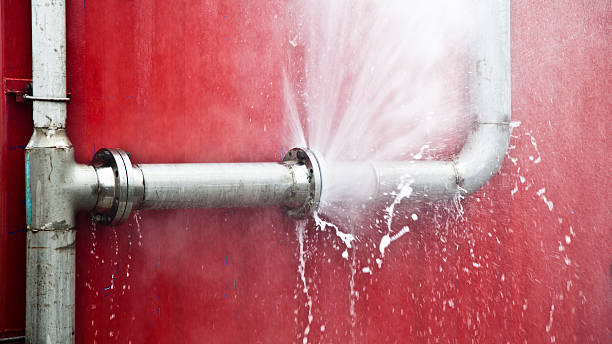 Best Professional water damage repair  in Merritt Island, FL