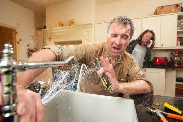 Best Flooded house restoration  in Merritt Island, FL
